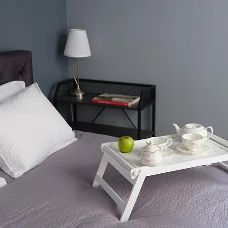 Miro Skolas Exclusive - Spacious Chic, Free Parking Riga