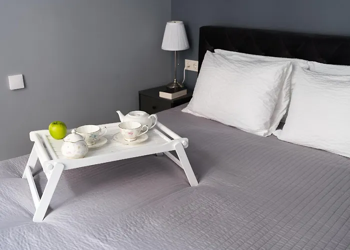 Apartment Miro Skolas Exclusive - Spacious Chic, Free Parking