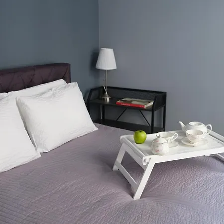 Miro Skolas Exclusive - Spacious Chic, Free Parking Apartman Riga